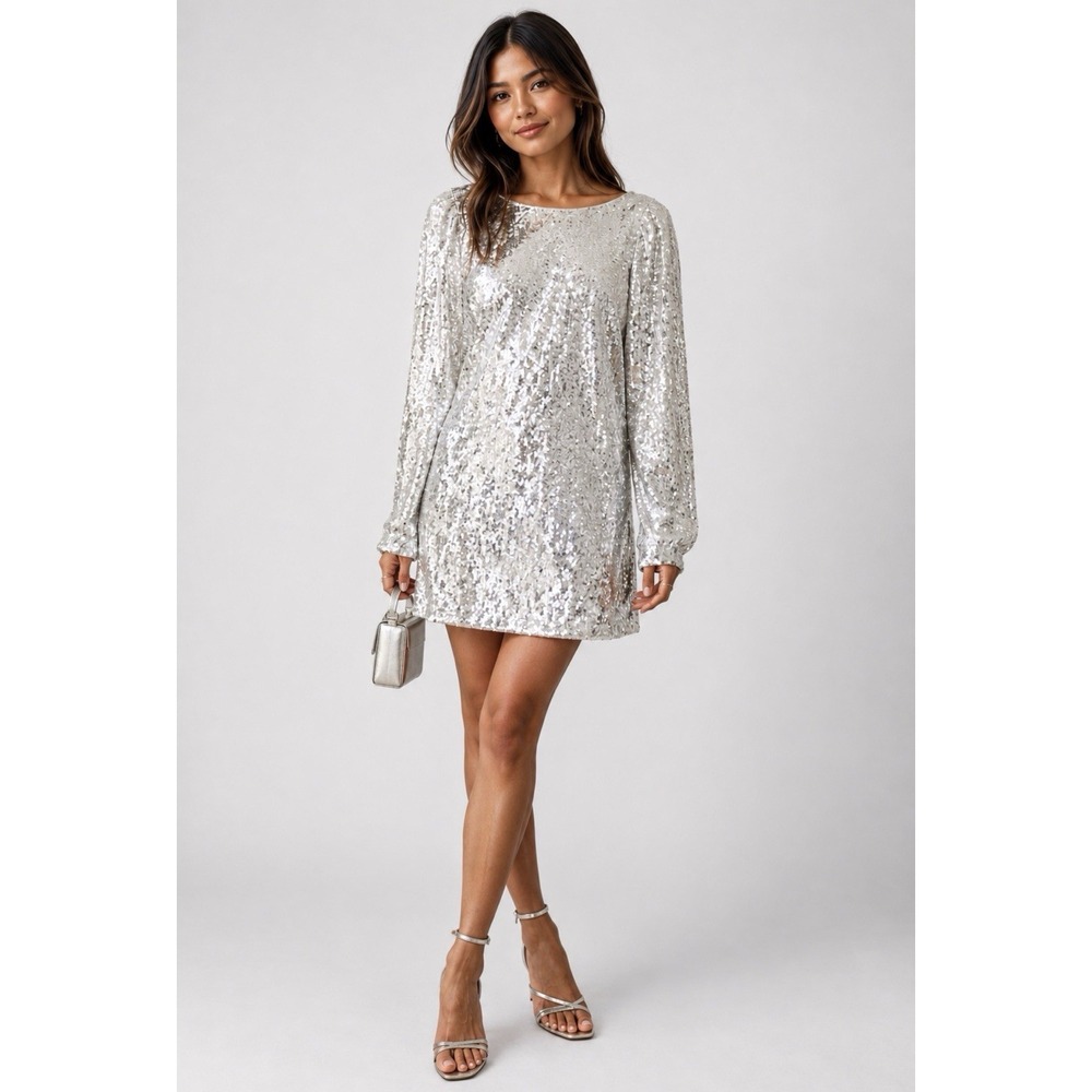 NEW! Zara All Over Sequin Mini Dress  Long sleeve Silver White SZ S